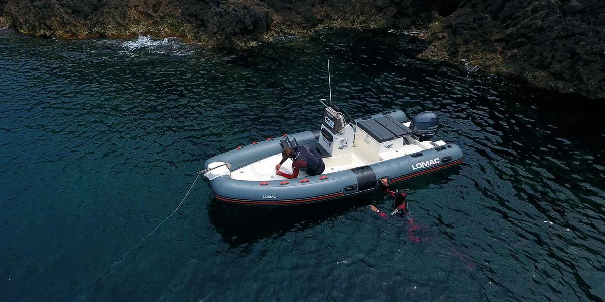 Lomac Euforia 540 — gumenjak 5,41 m, fotografija 2 od 4